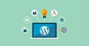 绝对干货:WordPress 自定义查询 WP_Query 所有参数详细注释