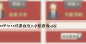WordPress 根据自定义字段搜索文章内容
