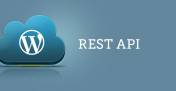 处理 WordPress REST API(WP API) 中的用户认证,发送 POST 请求