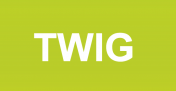 在 WordPress 中使用 Twig 模板,简化 WordPress 主题开发